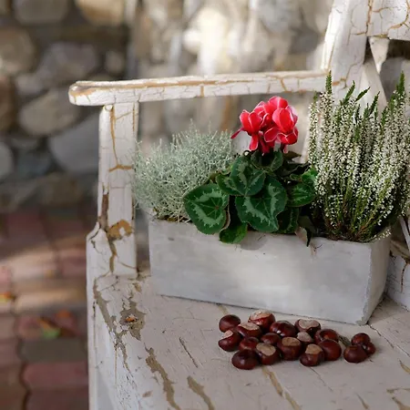 Stiegler * אונטרטאורן